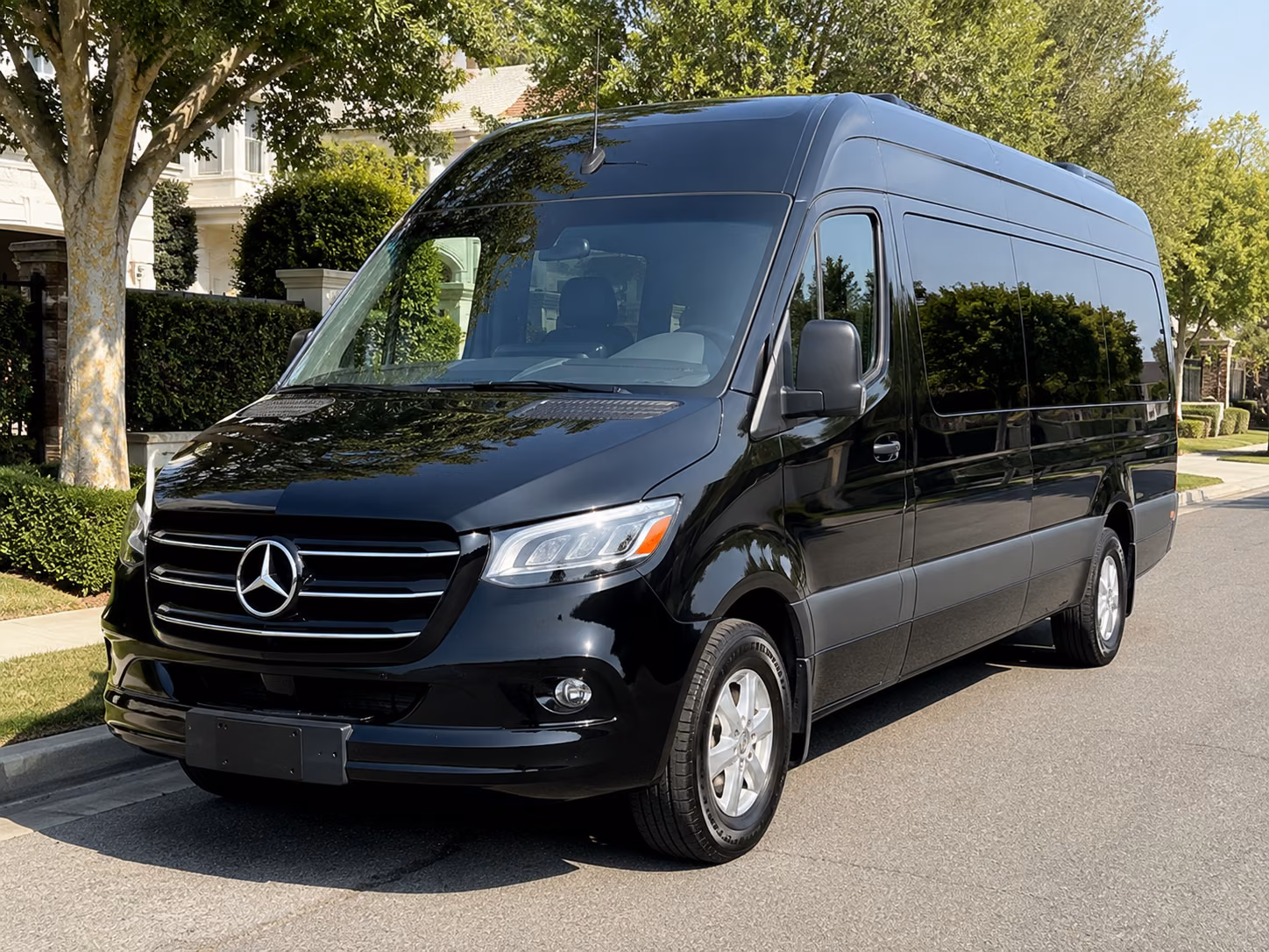 sprinter vans and minibuses for executive and small group corporate travel